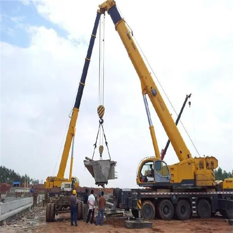 吴川小型吊机出租电话|厂房设备吊装方案|24小时服务覆盖